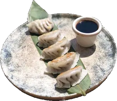 Steamed gyoza with dipping sauce on a ceramic plate